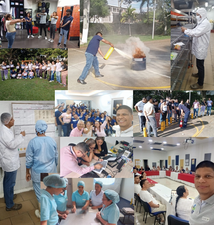 Equipo de SQM Soluciones trabajando en consultoría empresarial